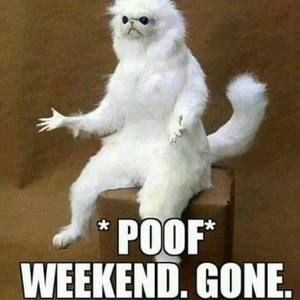 Meet your Posher, Mason